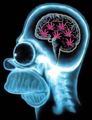 cannabis